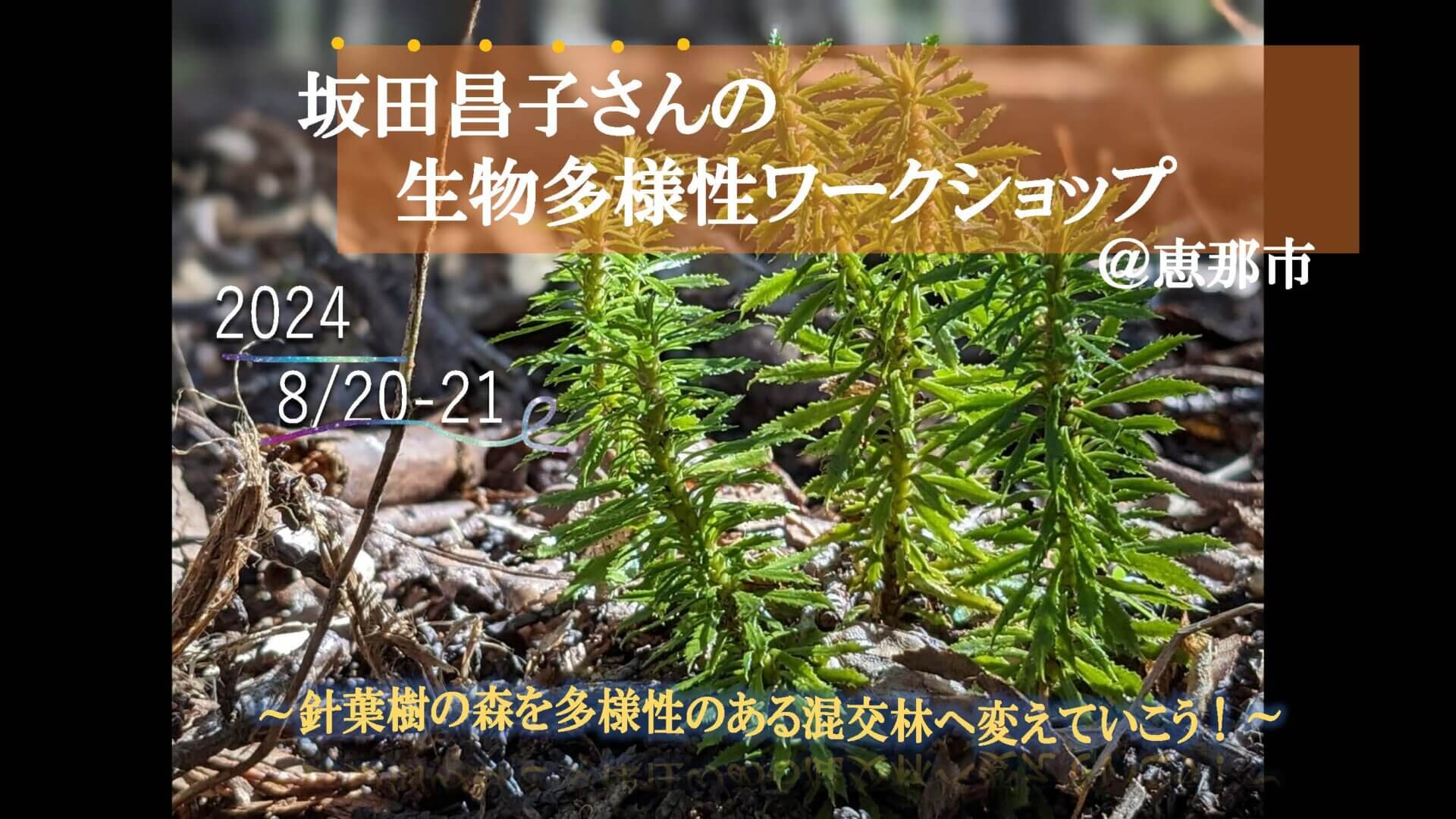 【恵那市中野方町】坂田昌子さんの生物多様性ワークショップ ～針葉樹の森を多様性のある混交林へ変えていこう～　参加者募集